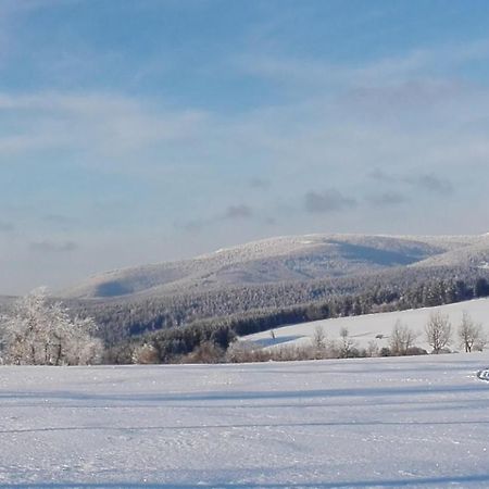 Rodinny Apartman 3+1 Horni Mesto Luaran gambar