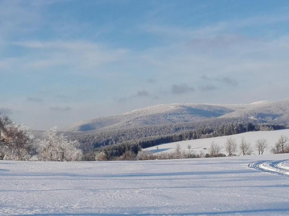 Rodinny Apartman 3+1 Horni Mesto Luaran gambar